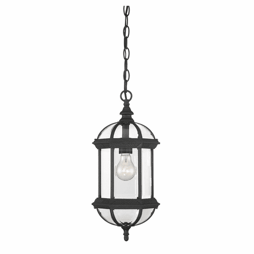 Savoy House Kensington Hanging Lantern - Textured Black - 5-0631-BK