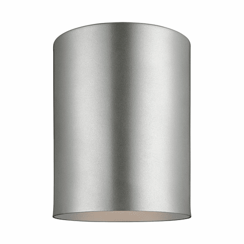 Sea Gull 1-LT Outdoor Ceiling Flush Mount - Painted Brushed Nickel - 7813801-753