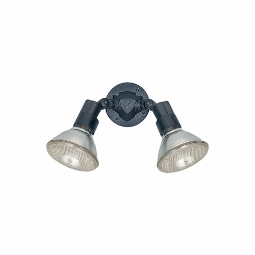 Sea Gull 2-LT Adjustable Swivel Flood Light - Black - 8642-12