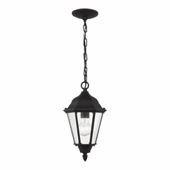 Sea Gull Bakersville 1-LT Outdoor Pendant - Black - 60941-12