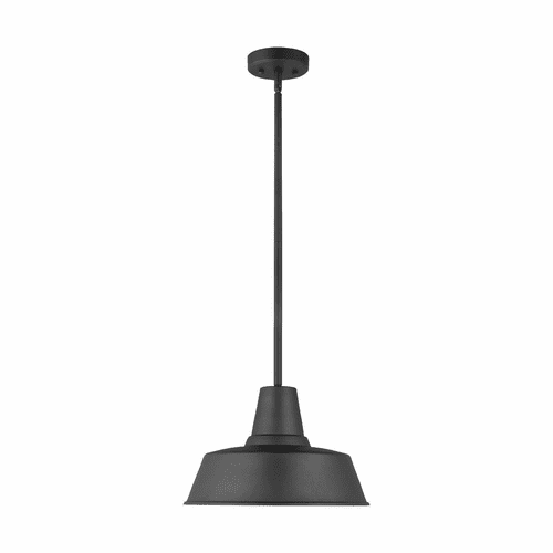Sea Gull Barn Light 1-LT Outdoor Pendant - Black - 6237401-12