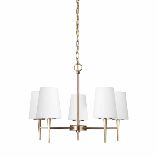 Sea Gull Driscoll 5-LT Chandelier - Satin Bronze - 3140405-848
