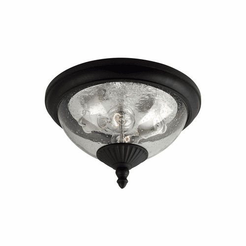 Sea Gull Lambert Hill 2-LT Outdoor Ceiling Flush Mount - Black - 88068-12