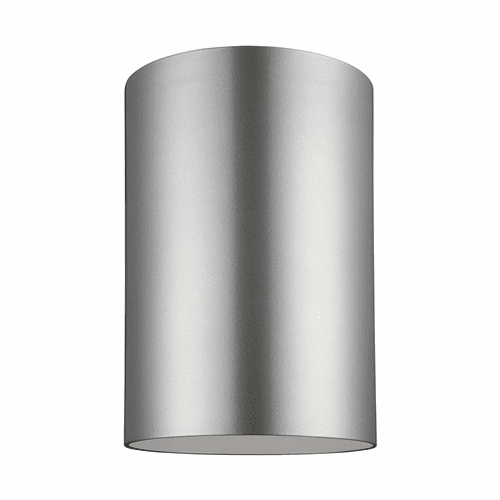 Sea Gull Large 1-LT Outdoor Ceiling Flush Mount - Painted Nickel - 7813901-753