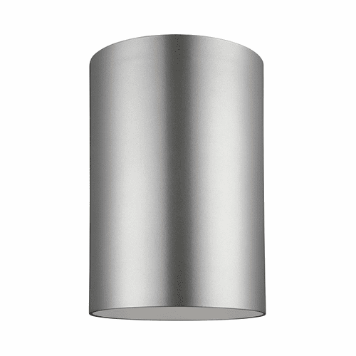 Sea Gull Large 1-LT Outdoor Ceiling Flush Mount - Painted Nickel - 7813901EN3-753