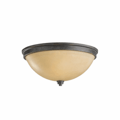 Sea Gull Parkfield 2-LT Ceiling Flush Mount - Flemish Bronze - 75520-845