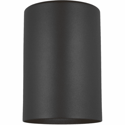 Sea Gull Small 1-LT Outdoor Wall Light - Black - 8313801-12/T