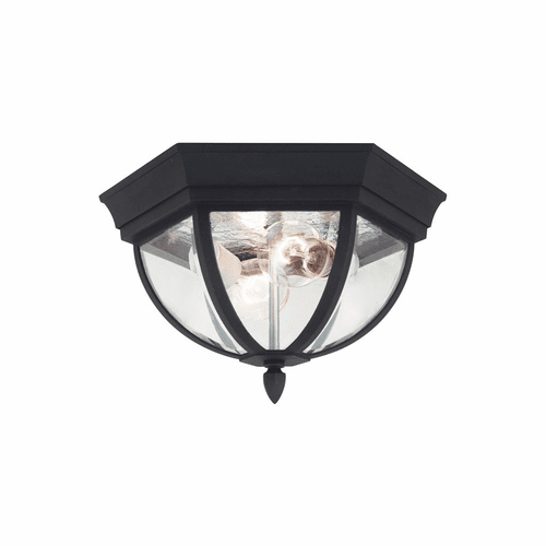 Sea Gull Wynfield 2-LT Outdoor Ceiling Flush Mount - Black - 78136-12