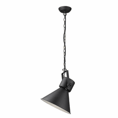 Trend Crew 1-LT Pendant - Matte Black - TP10026BK