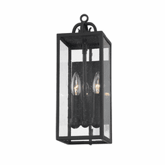Troy Caiden 2-LT Outdoor Wall Sconce - Forged Iron - B2061-FOR