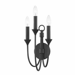 Troy Cate 3 Light Wall Sconce - Iron And Steel - B1003-FOR