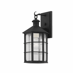 Troy Lake County 1 Light Exterior Small Wall Sconce - Iron And Steel - B2511-FRN