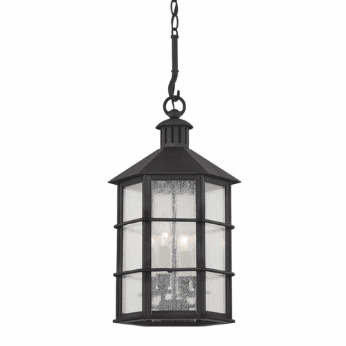 Troy Lake County 4 Light Exterior Lantern - Iron And Steel - F2526-FRN