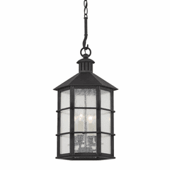 Troy Lake County 4 Light Exterior Lantern - Iron And Steel - F2526-FRN