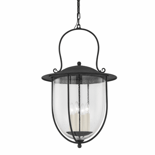 Troy Monterey County 4 Light Large Exterior Pendant - Iron And Steel - F5731-FRN