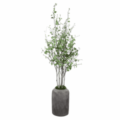 Uttermost Aldis Potted River Birch - 60146