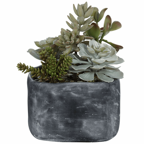 Uttermost Alverio Desert Garden Succulents - 60173