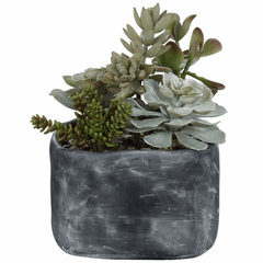 Uttermost Alverio Desert Garden Succulents - 60173