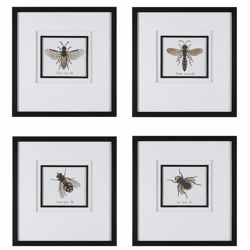 Uttermost Anthophila Framed Prints (Set Of 4) - 41428