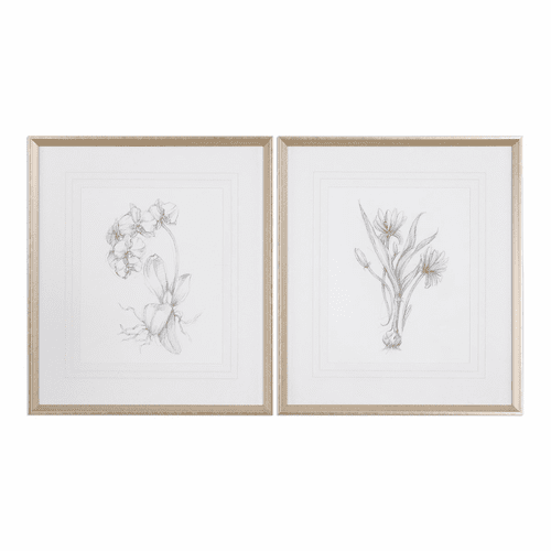 Uttermost Botanical Sketches Framed Prints Set Of 2 - 33649