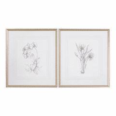 Uttermost Botanical Sketches Framed Prints Set Of 2 - 33649