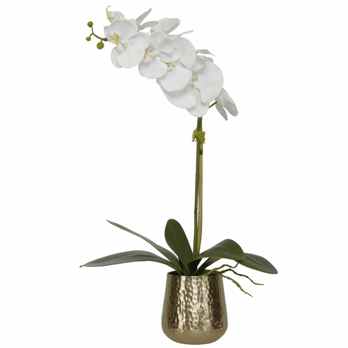 Uttermost Cami Orchid Pot - Brass - 60189