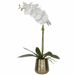 Uttermost Cami Orchid Pot - Brass - 60189 Uttermost Cami Orchid Pot - Brass - 60189