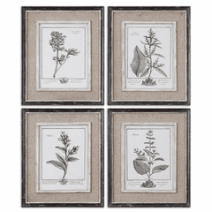 Uttermost Casual Grey Study Framed Art Set Of 4 - 32510