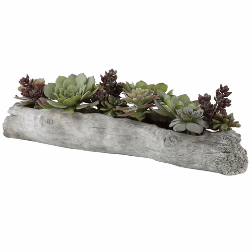 Uttermost Charita Lush Succulents - 60174