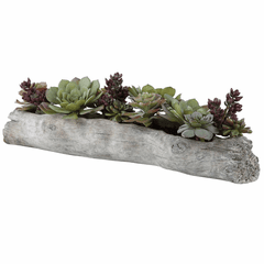 Uttermost Charita Lush Succulents - 60174