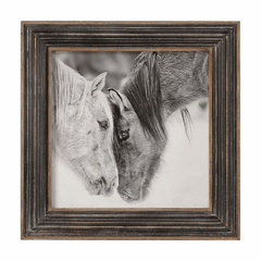 Uttermost Custom Black And White Horses Print - 51110