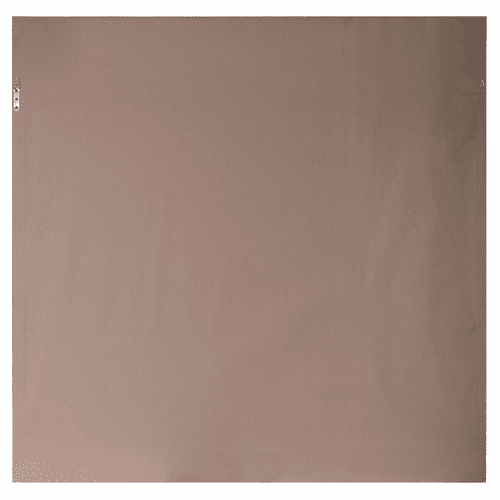 Uttermost Dandelion Seedhead Framed Print - 33711