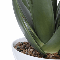Uttermost Evarado Aloe Planter - 60177