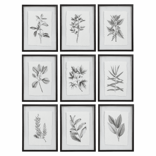Uttermost Farmhouse Florals Framed Prints Set Of 9 - 41617