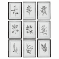 Uttermost Farmhouse Florals Framed Prints Set Of 9 - 41617