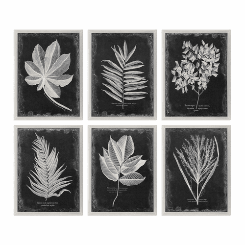 Uttermost Foliage Framed Prints Set Of 6 - 33671