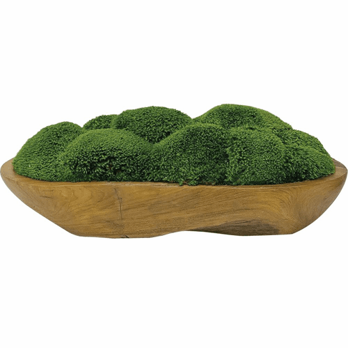 Uttermost Kinsale Moss Centerpiece - 60180