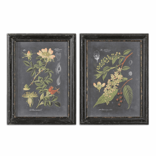Uttermost Midnight Botanicals Wall Art Set Of 2 - 56053