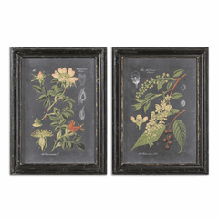 Uttermost Midnight Botanicals Wall Art Set Of 2 - 56053