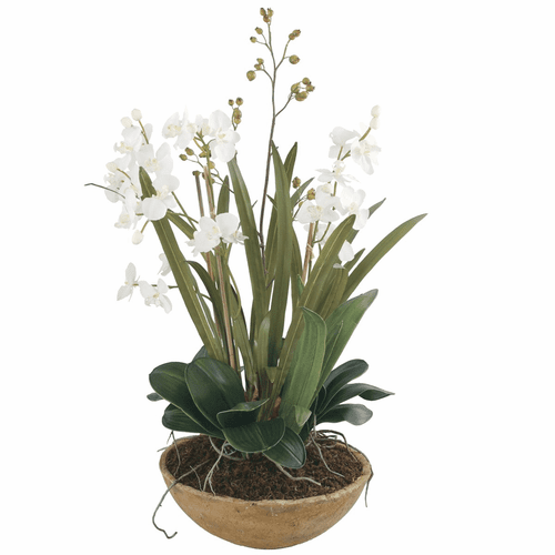 Uttermost Moth Orchid Planter - 60039