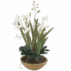 Uttermost Moth Orchid Planter - 60039 Uttermost Moth Orchid Planter - 60039