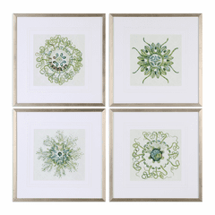Uttermost Organic Symbols Print Art Set Of 4 - 33656