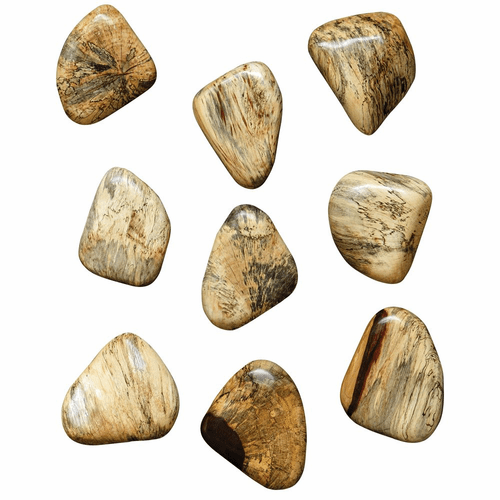 Uttermost Pebbles Wall Decor Set of 9 - Blonde Wood - 04324