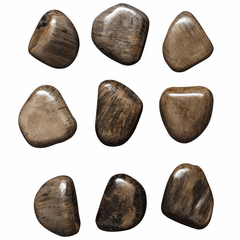 Uttermost Pebbles Walnut Wall Decor Set of 9 - Walnut Wood - 04323