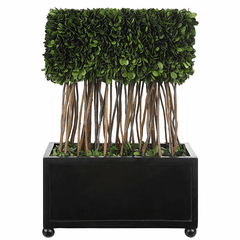 Uttermost Preserved Boxwood Rectangular Topiary - 60188 Uttermost Preserved Boxwood Rectangular Topiary - 60188