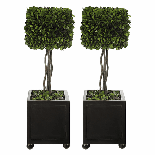 Uttermost Preserved Boxwood Square Topiaries Set Of 3 - 60187