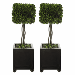Uttermost Preserved Boxwood Square Topiaries Set Of 3 - 60187 Uttermost Preserved Boxwood Square Topiaries Set Of 3 - 60187