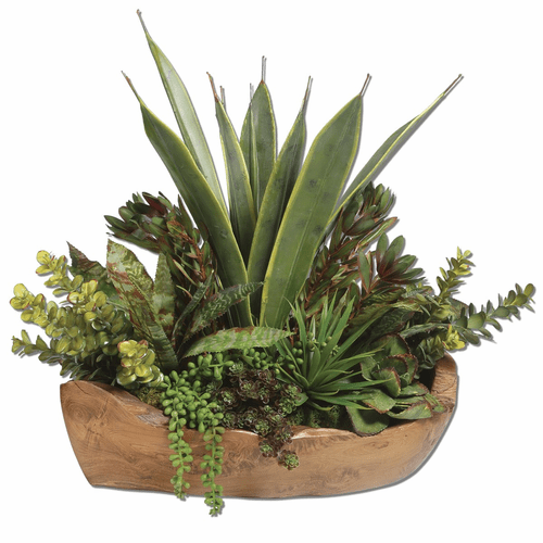 Uttermost Salar Succulents In Teak Bowl - 60119