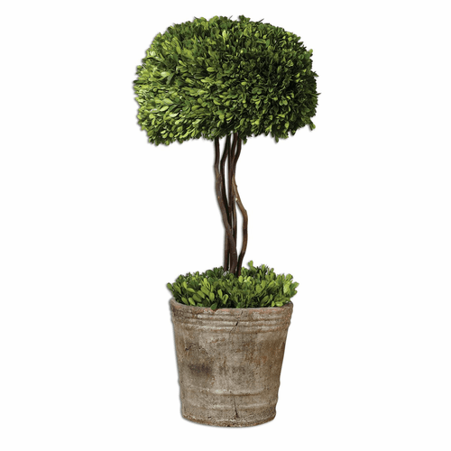 Uttermost Tree Topiary Preserved Boxwood - 60095