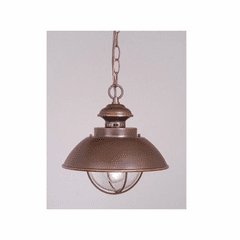 Vaxcel Harwich 10" Outdoor Pendant - Burnished Bronze - OD21506BBZ